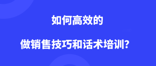 Dudutalk:如何高效的做销售技巧和话术培训？