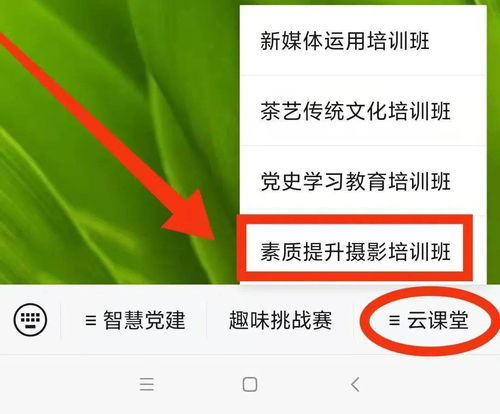 摄影培训班如何做营销销售的(儿童摄影网络营销如何做？)