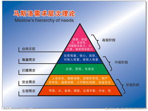 销售部培训需求层次分析(培训需求分析的三个层次)