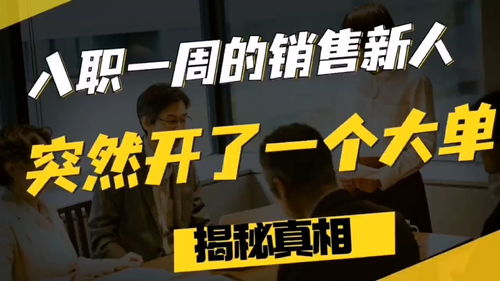 新人入职销售公司应该培训什么(地产销售的新人需要学习哪些知识)